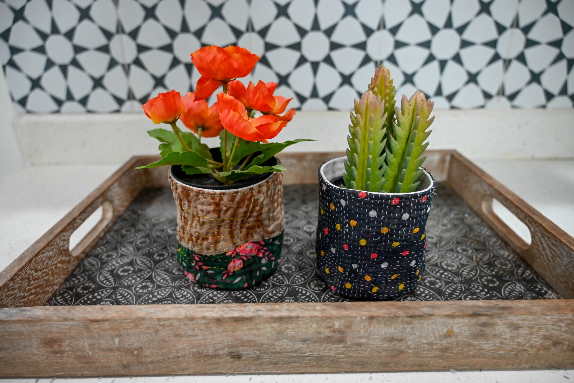 a tray with two potted plants sitting on top of it