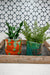 two potted plants sitting on top of a wooden tray