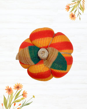 Saree Pumpkin | Small