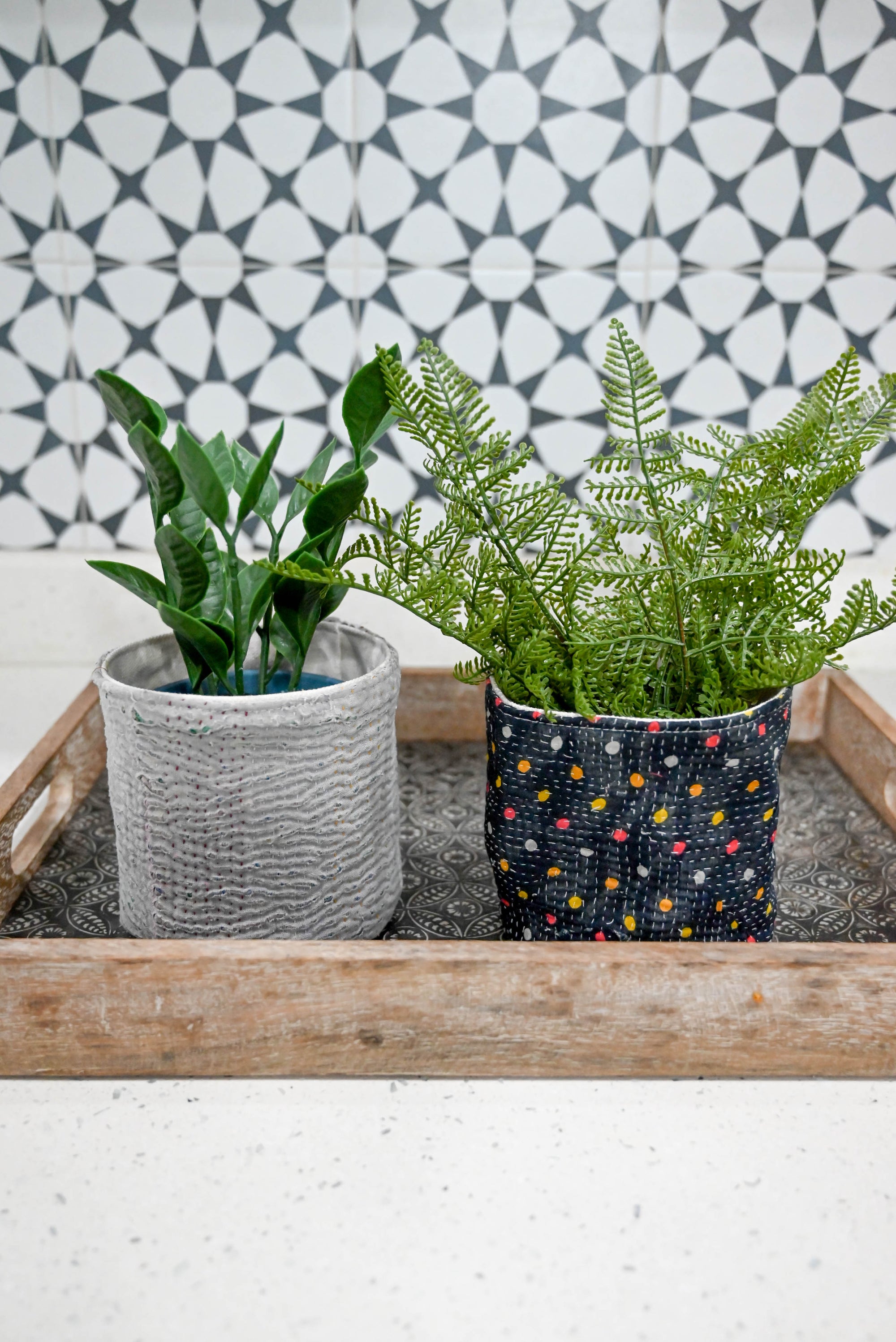 two potted plants sitting on a tray