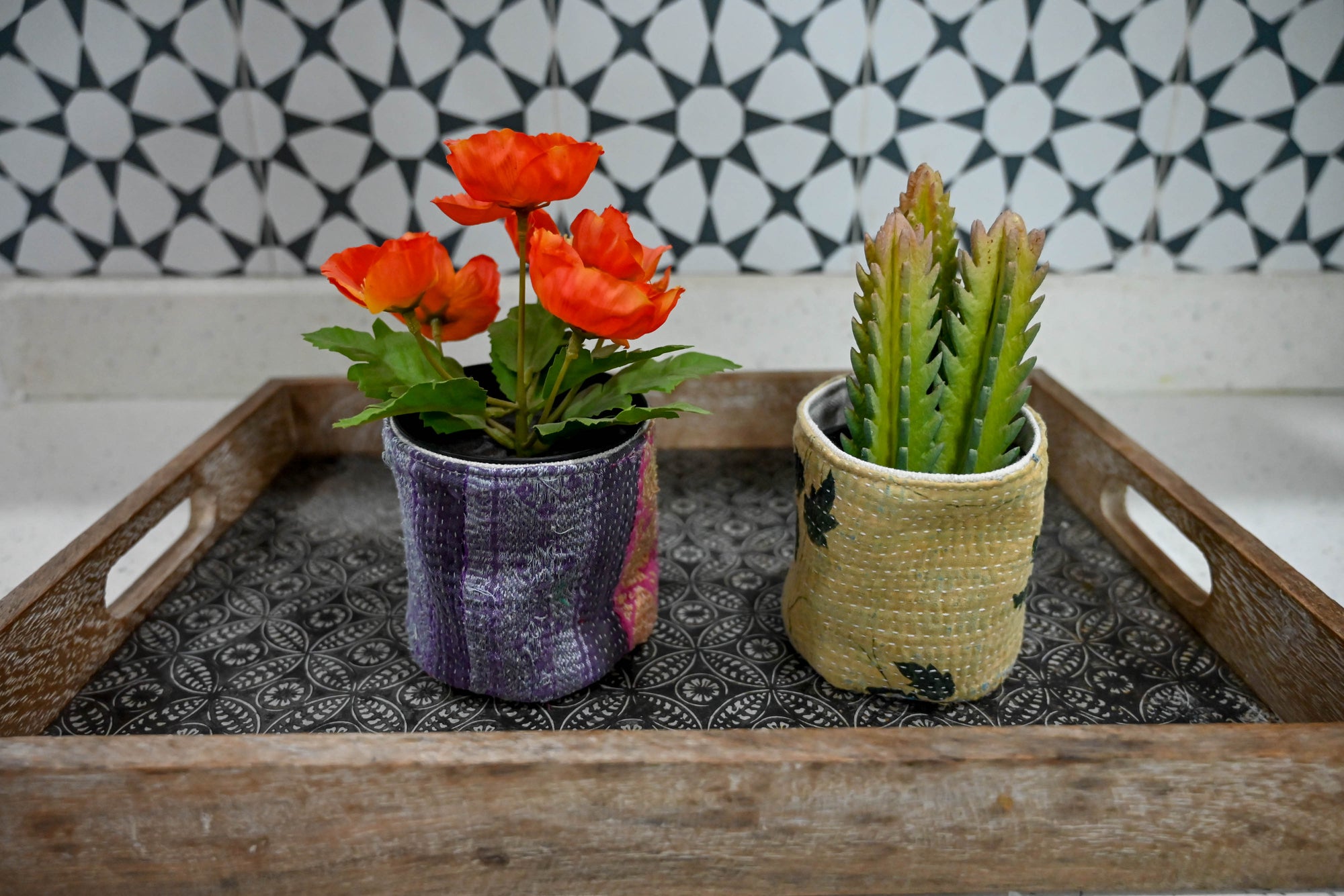 a couple of plants that are sitting in a tray