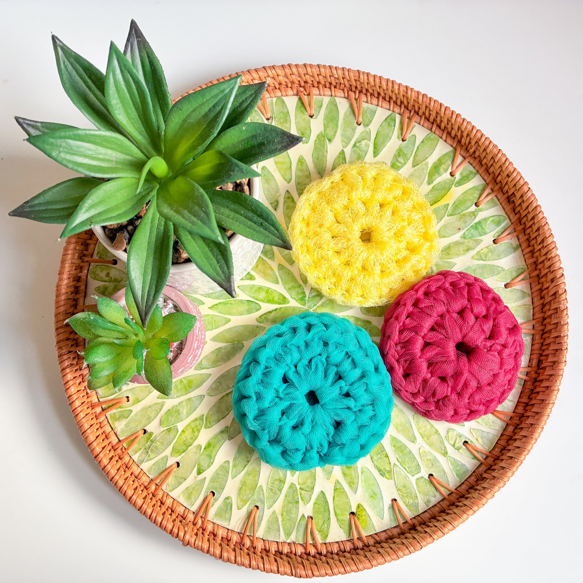 Dish Scrubber Set of 3 | Assorted