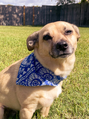 Saree Pet Bandana - Small