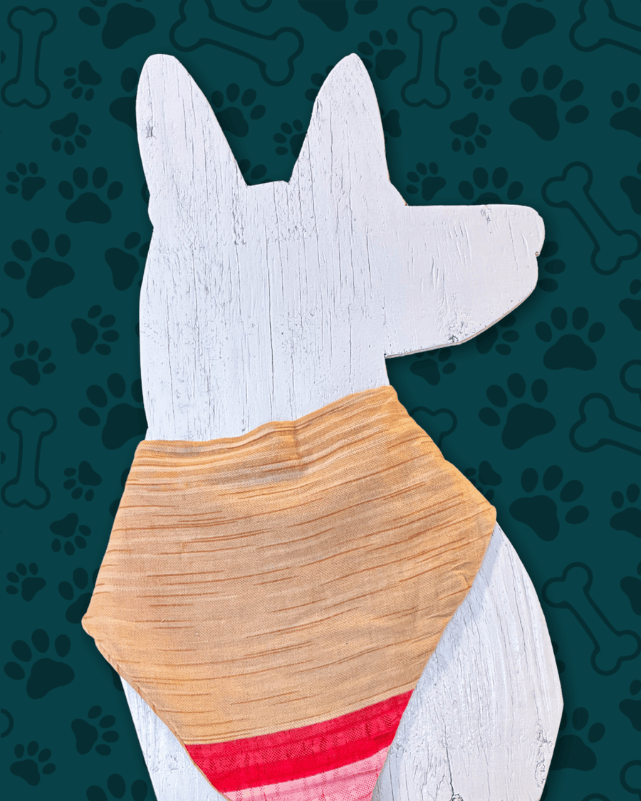 Saree Pet Bandana | Large