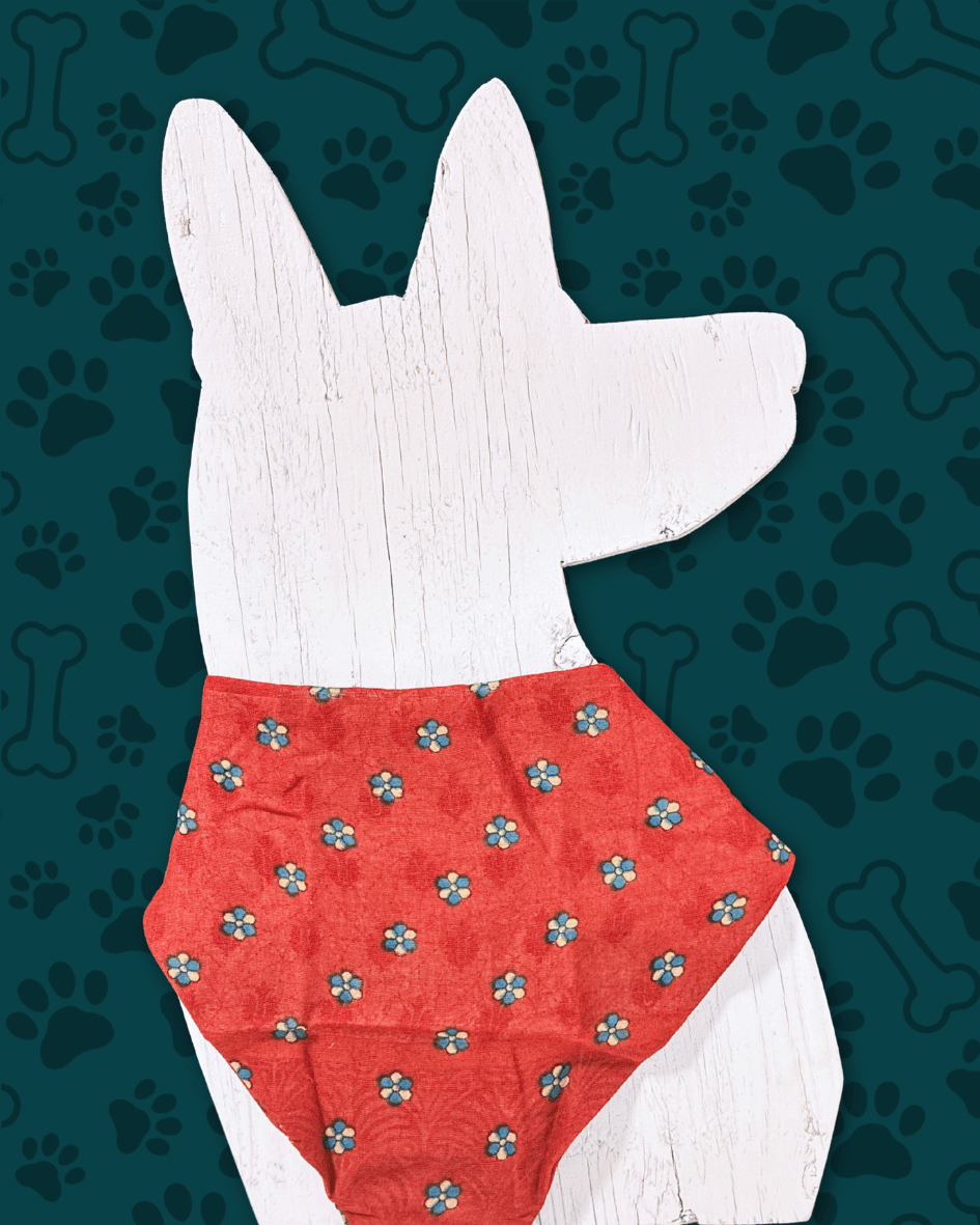 Saree Pet Bandana | Large