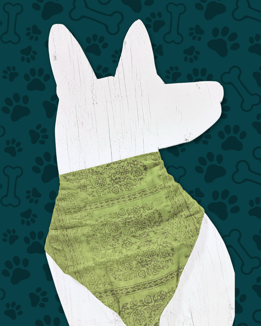 Saree Pet Bandana | Large
