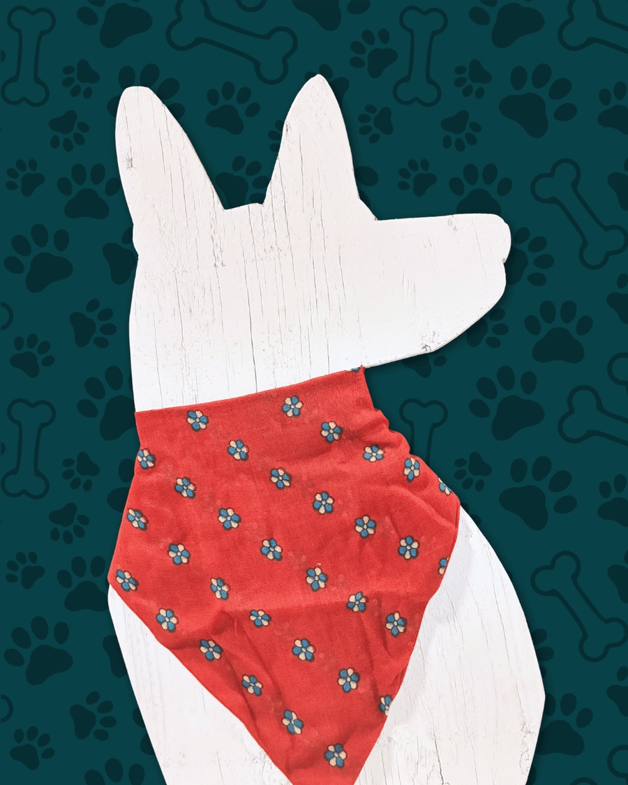 Saree Pet Bandana | Large