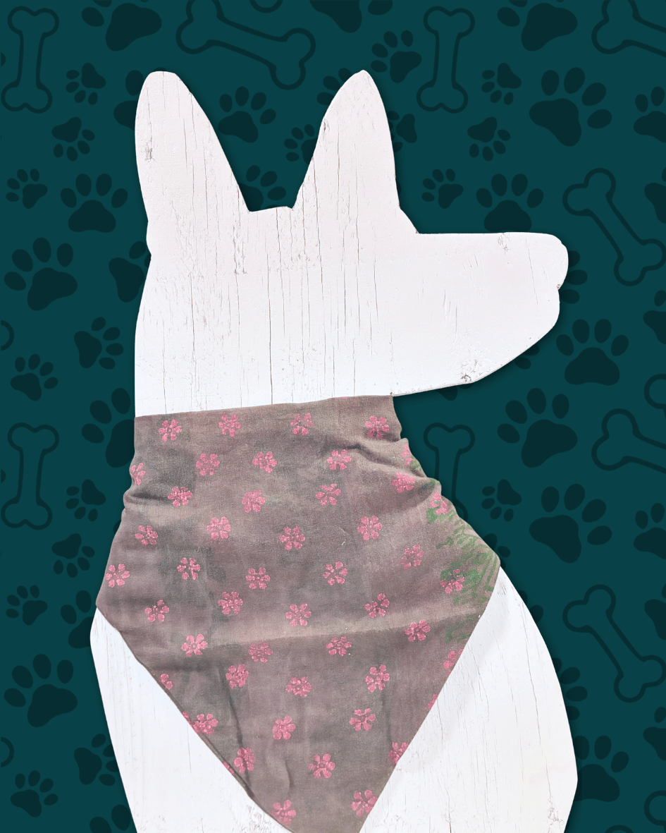 Saree Pet Bandana | Large