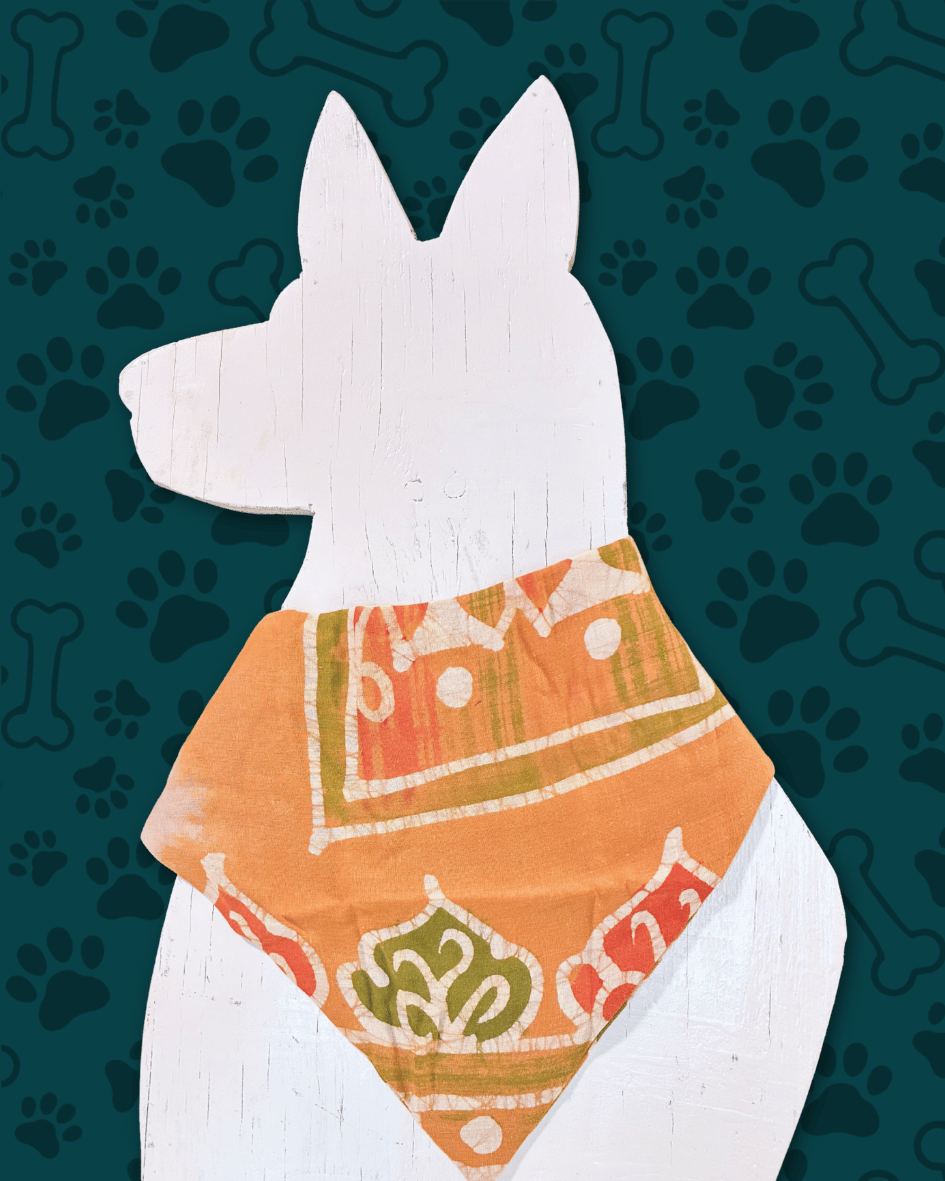Saree Pet Bandana | Medium