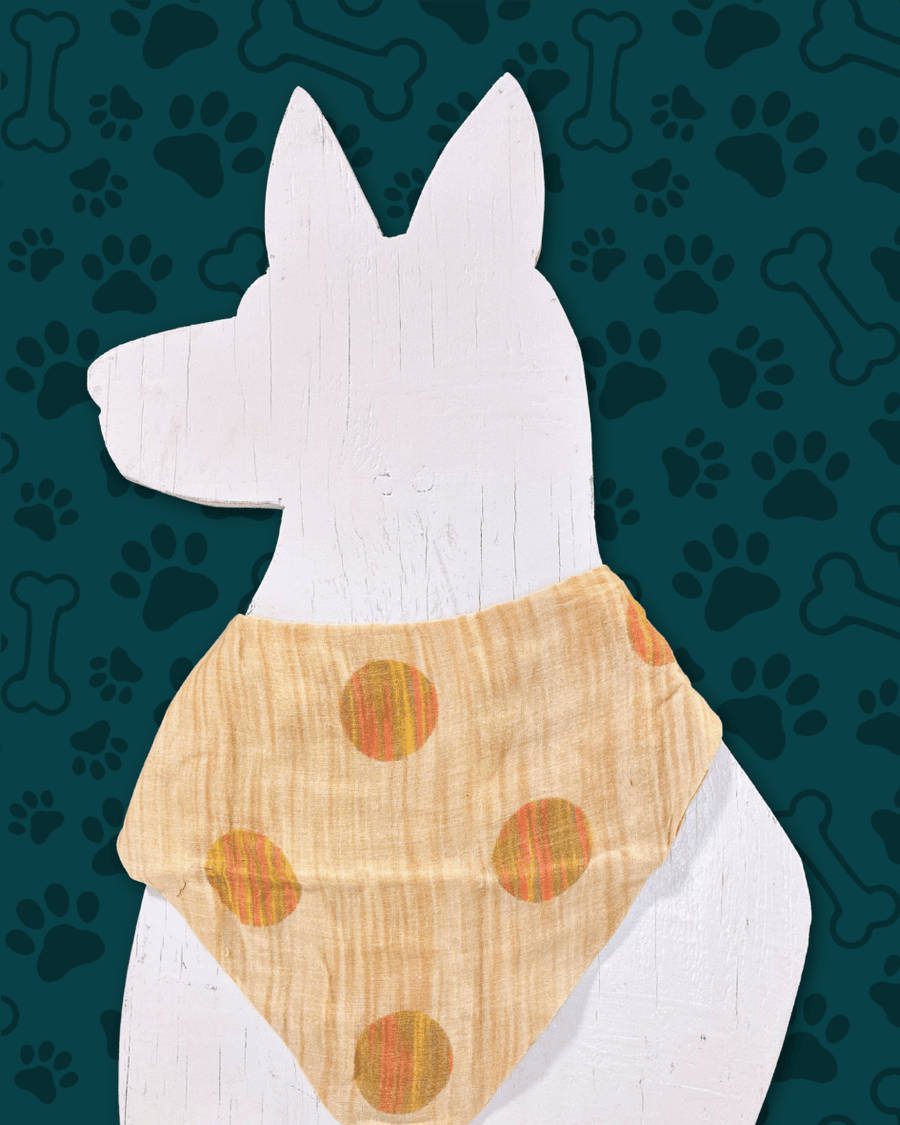 Saree Pet Bandana | Medium