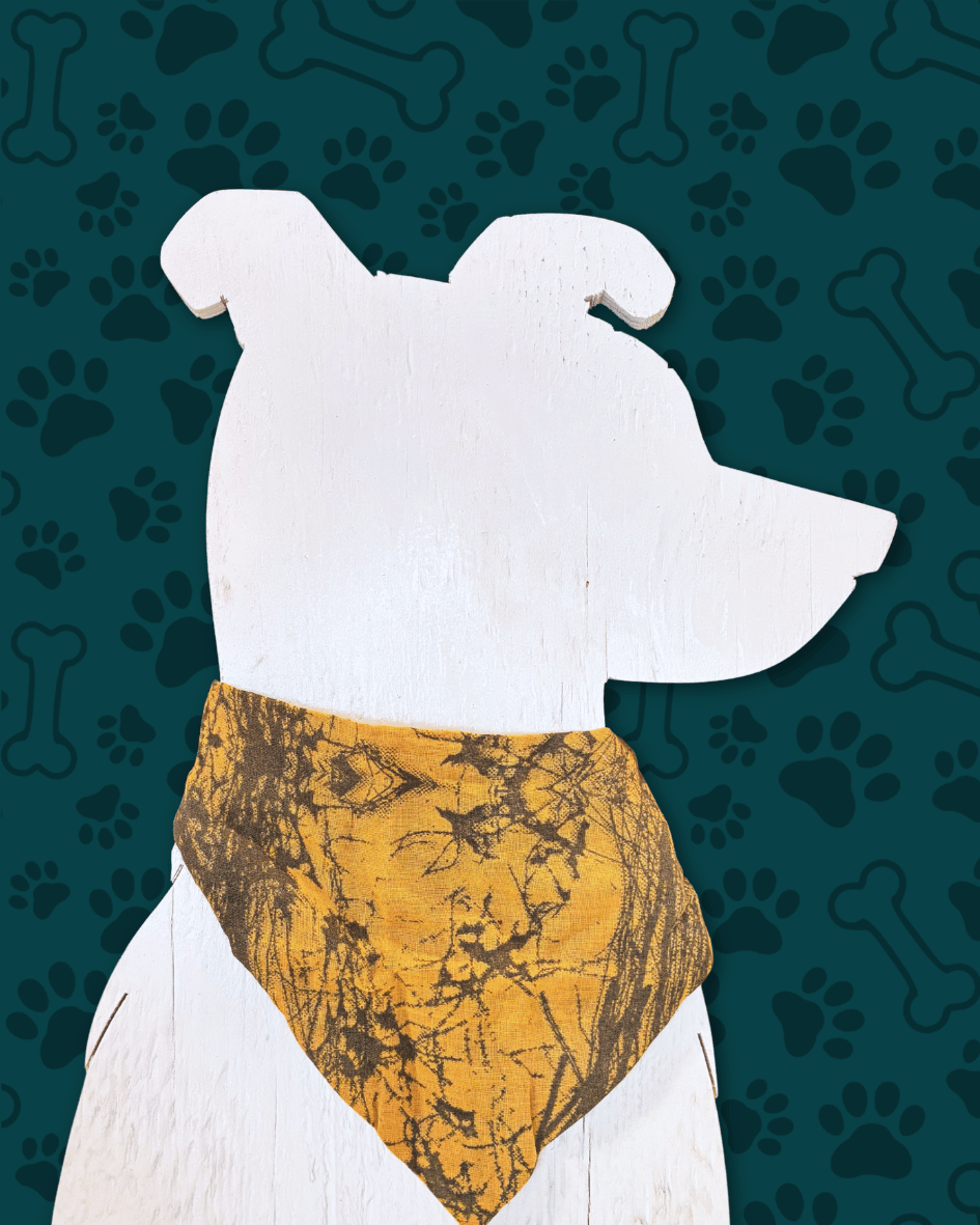 Saree Pet Bandana | Small