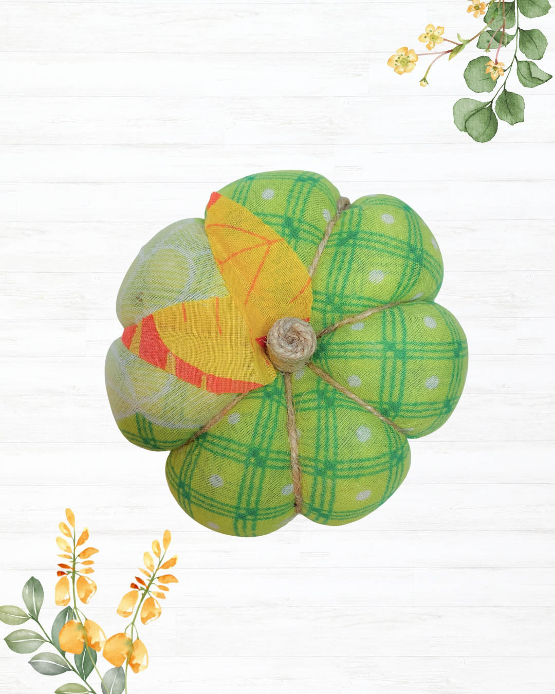 Saree Pumpkin | Medium