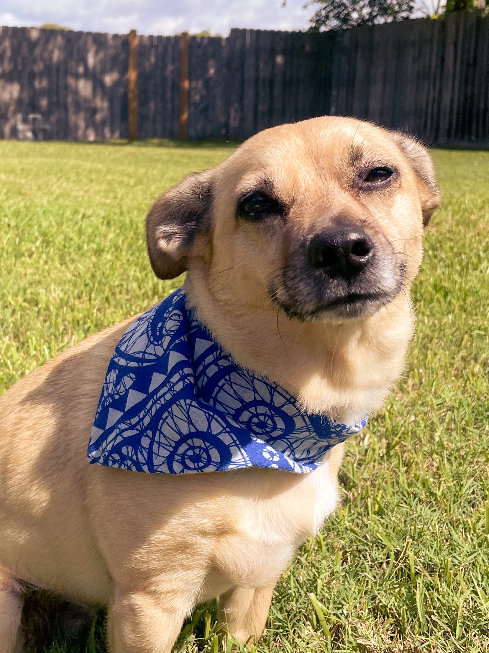 Saree pet bandana made from vibrant, hand-stitched recycled saree fabric, offering a colorful and unique accessory for your pet.