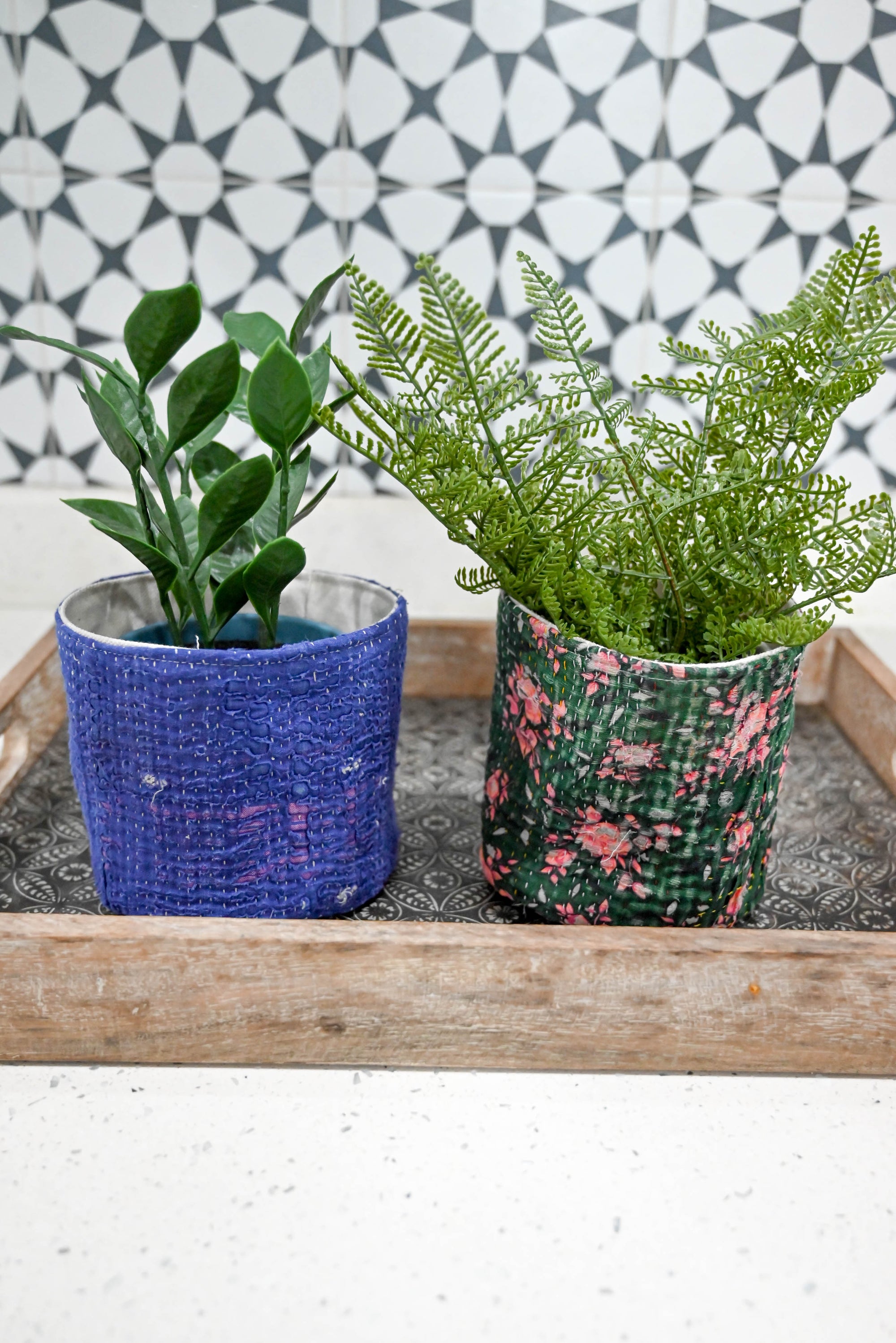 a couple of plants sitting on top of a wooden tray