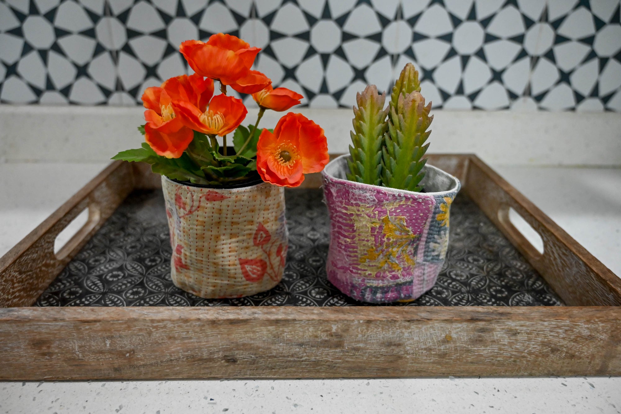 two potted plants are sitting on a tray