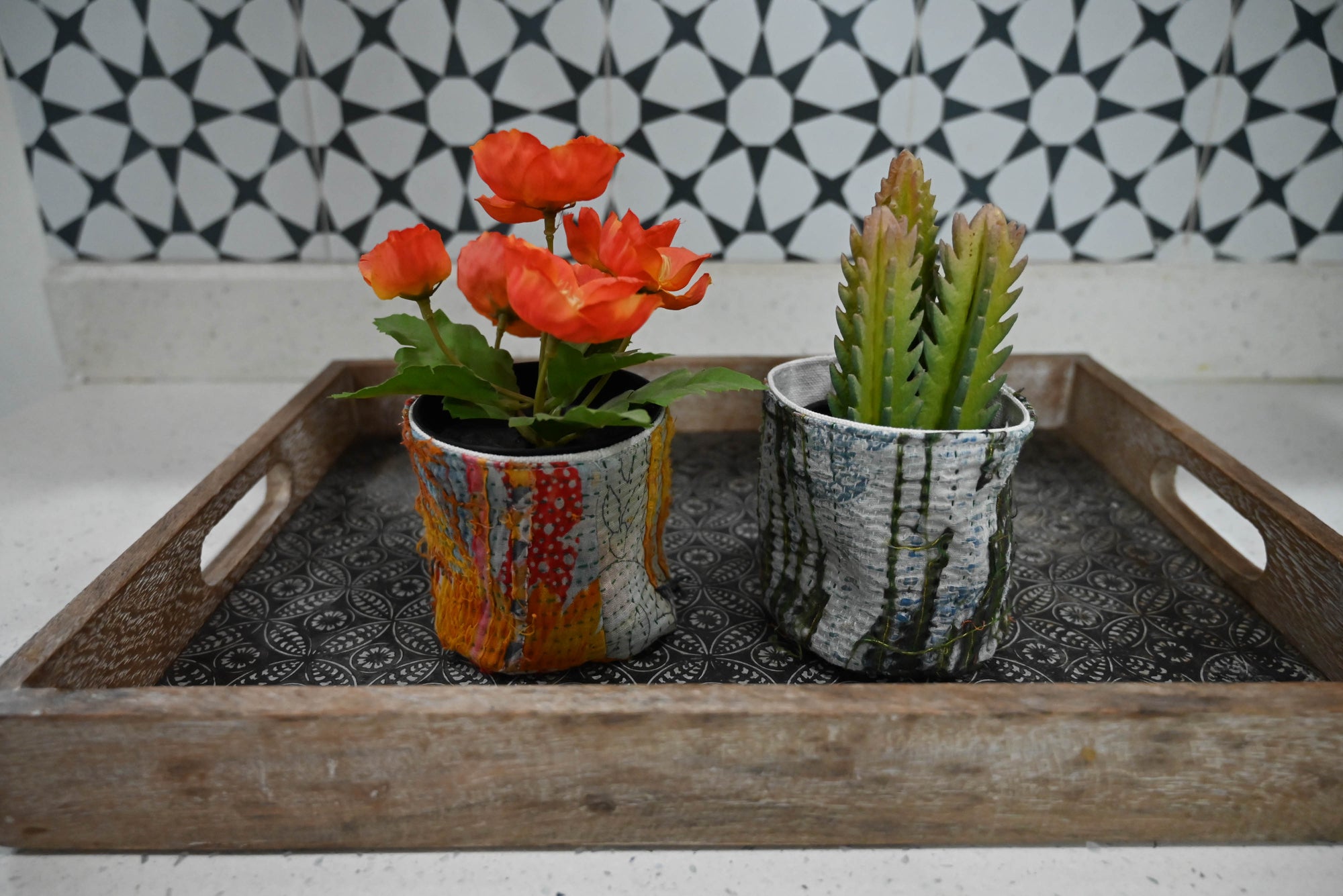 two potted plants are sitting on a tray