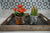 two potted plants are sitting on a tray