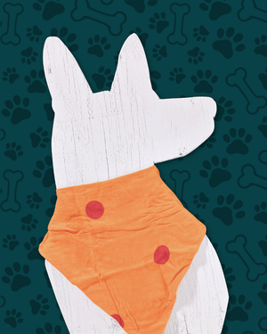 Saree Pet Bandana | Large - Asha Project Kantha - Saree - Handmade