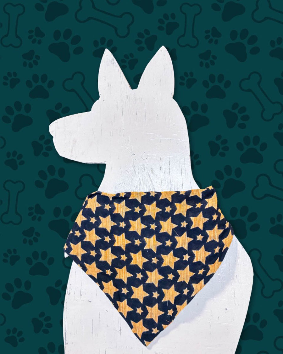 Saree Pet Bandana | Medium - Asha Project Kantha - Saree - Handmade