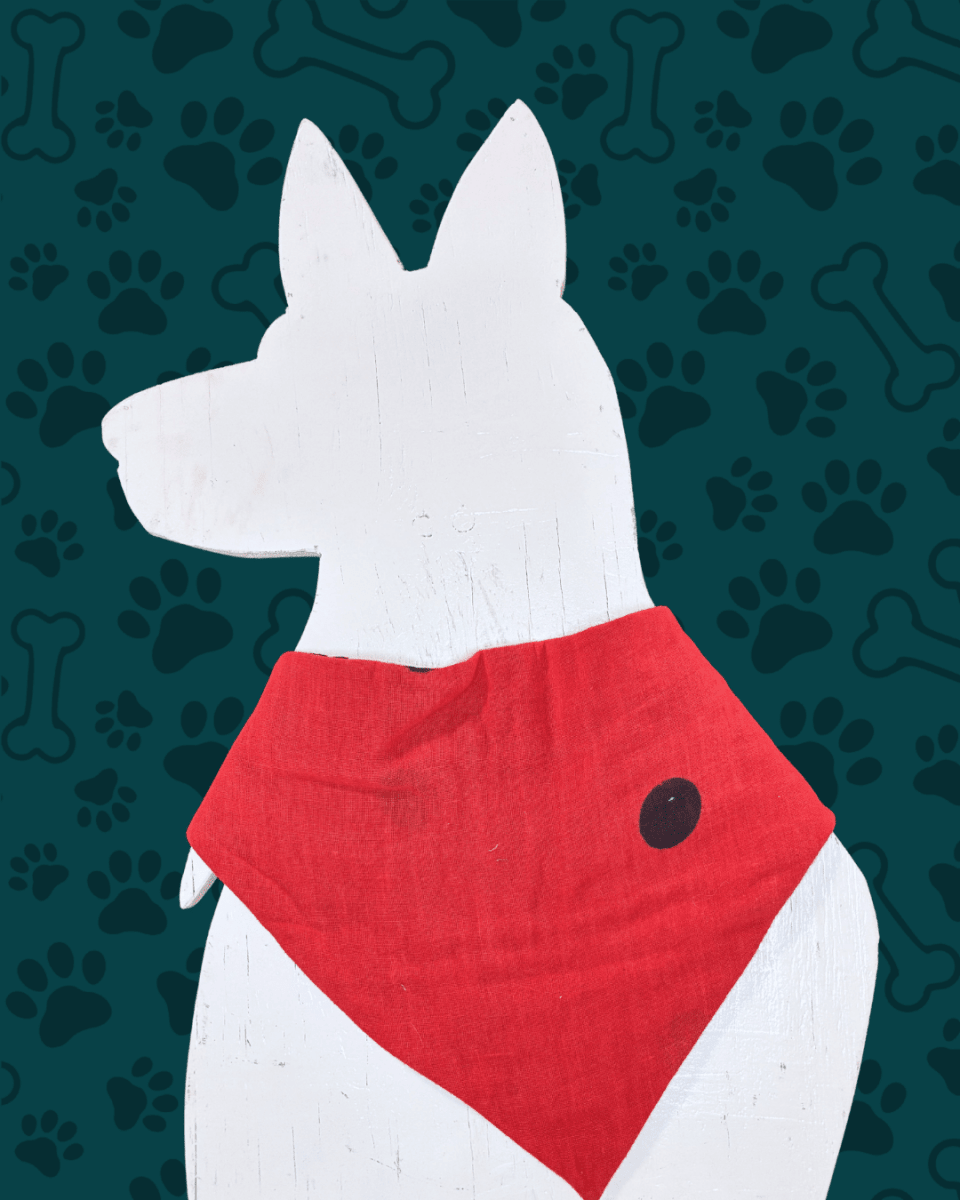 Saree Pet Bandana | Medium - Asha Project Kantha - Saree - Handmade