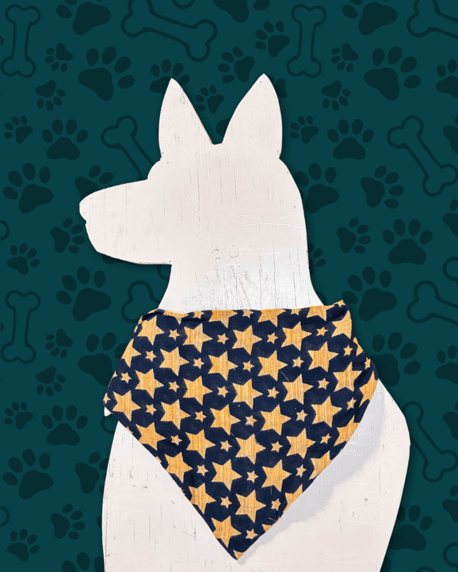 Saree Pet Bandana | Medium - Asha Project Kantha - Saree - Handmade