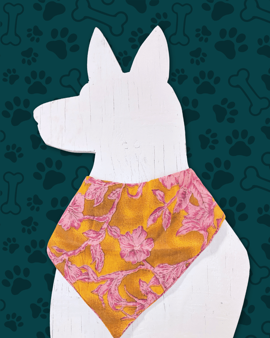 Saree Pet Bandana | Medium - Asha Project Kantha - Saree - Handmade