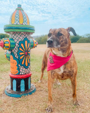 Saree Pet Bandana | Medium | Assorted - Asha Project Kantha - Saree - Handmade