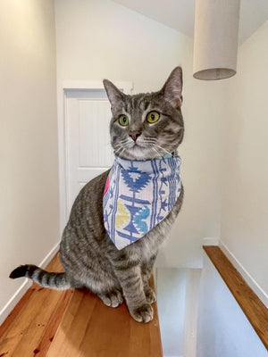 Saree Pet Bandana | Small - Asha Project Kantha - Saree - Handmade