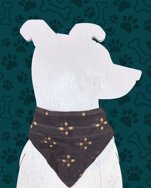 Saree Pet Bandana | Small - Asha Project Kantha - Saree - Handmade