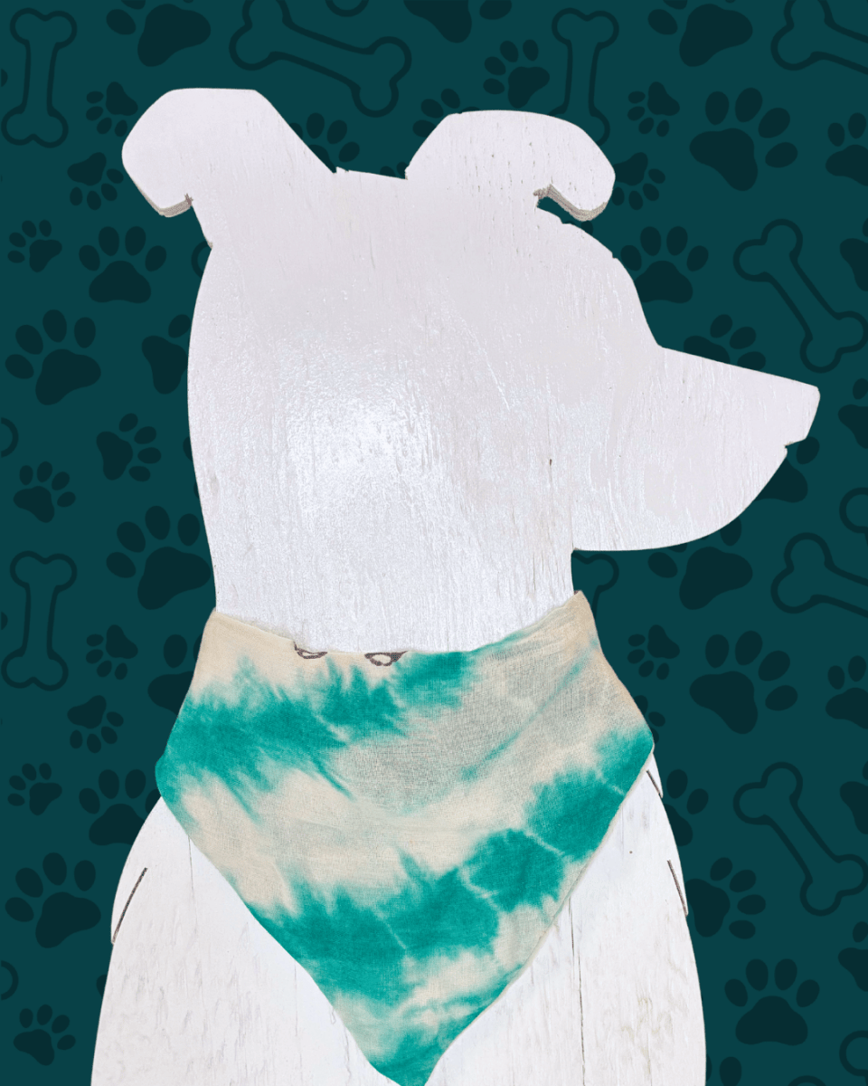 Saree Pet Bandana | Small - Asha Project Kantha - Saree - Handmade