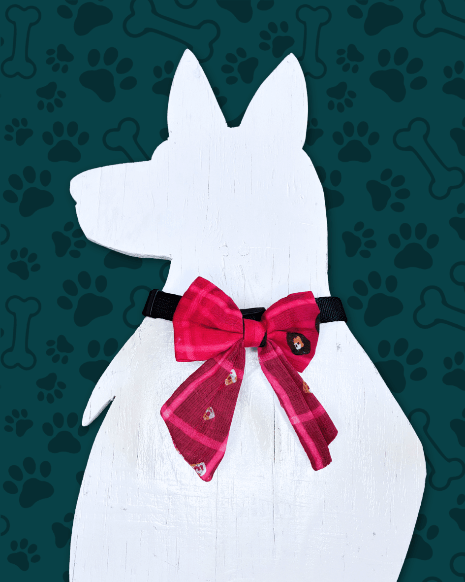 Saree Pet Bow | Small - Asha Project Kantha - Saree - Handmade