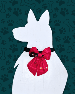 Saree Pet Bow | Small - Asha Project Kantha - Saree - Handmade