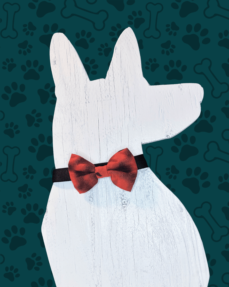 Saree Pet Bowtie | Large - Asha Project Kantha - Saree - Handmade