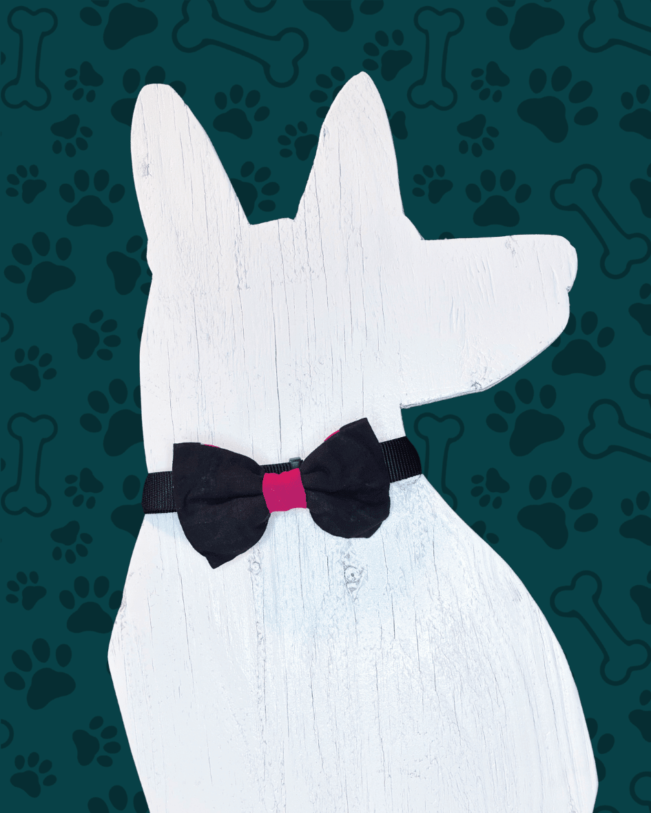 Saree Pet Bowtie | Large - Asha Project Kantha - Saree - Handmade
