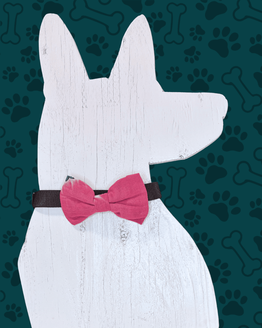 Saree Pet Bowtie | Large - Asha Project Kantha - Saree - Handmade