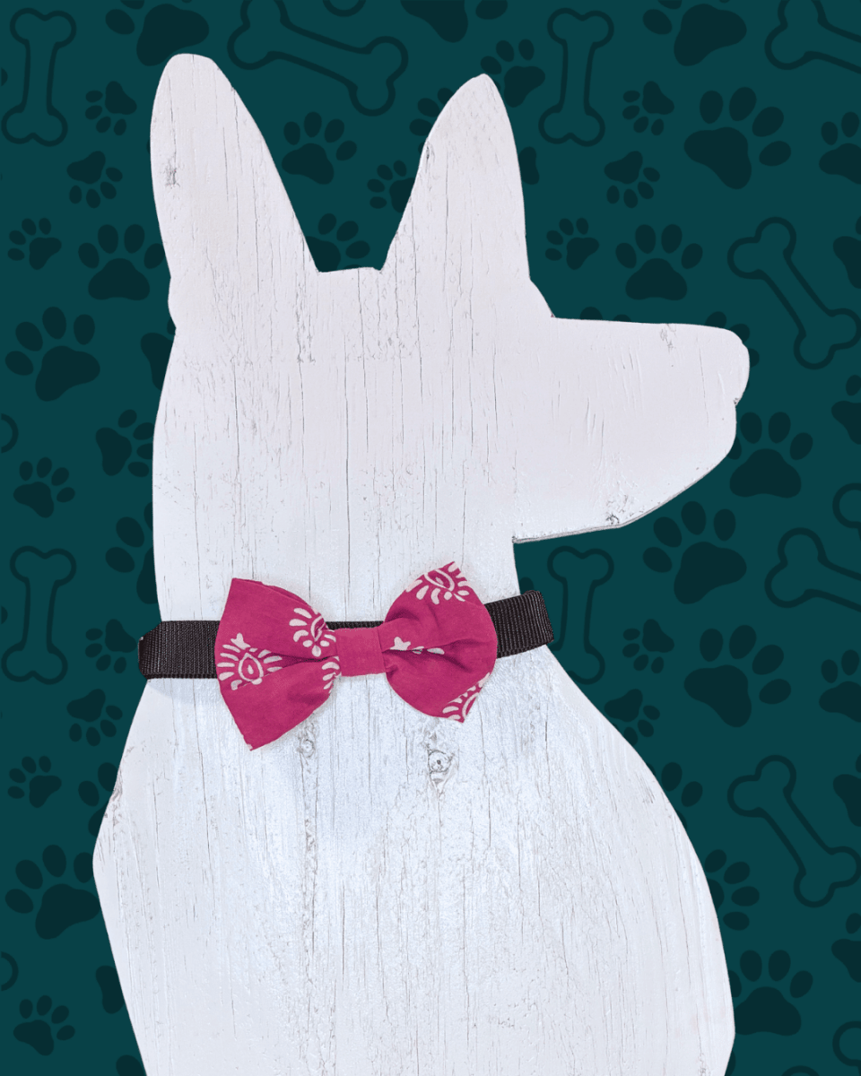 Saree Pet Bowtie | Large - Asha Project Kantha - Saree - Handmade