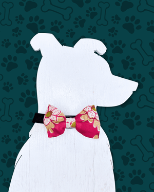 Saree Pet Bowtie | Small - Asha Project Kantha - Saree - Handmade