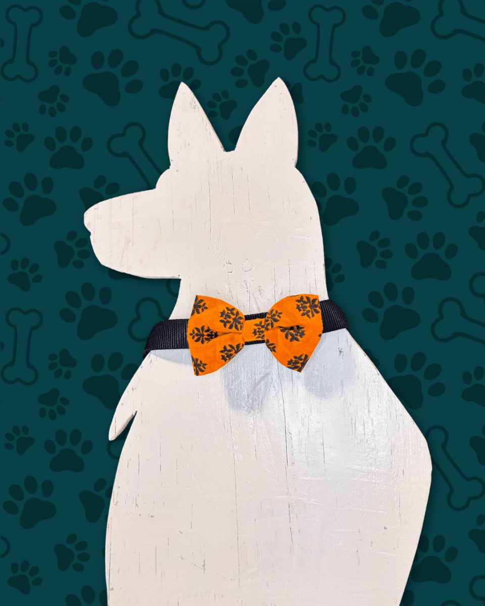 Saree Pet Bowtie | Small - Asha Project Kantha - Saree - Handmade