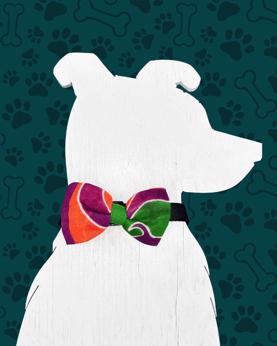 Saree Pet Bowtie | Small - Asha Project Kantha - Saree - Handmade