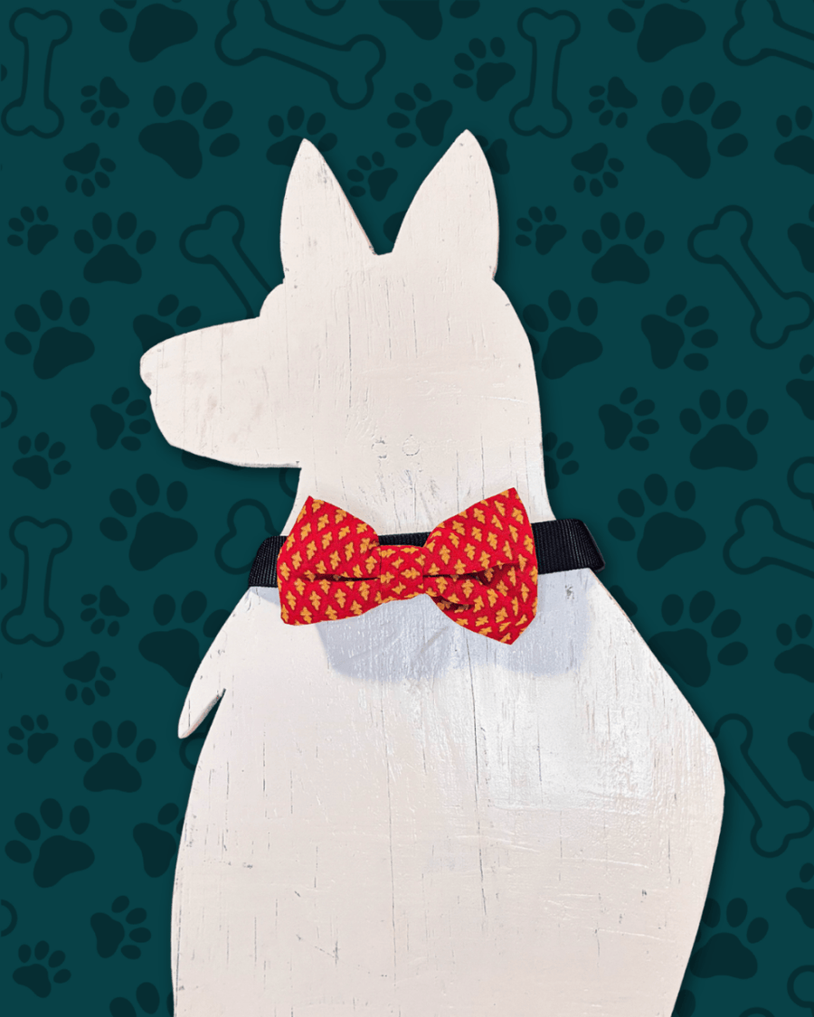 Saree Pet Bowtie | Small - Asha Project Kantha - Saree - Handmade