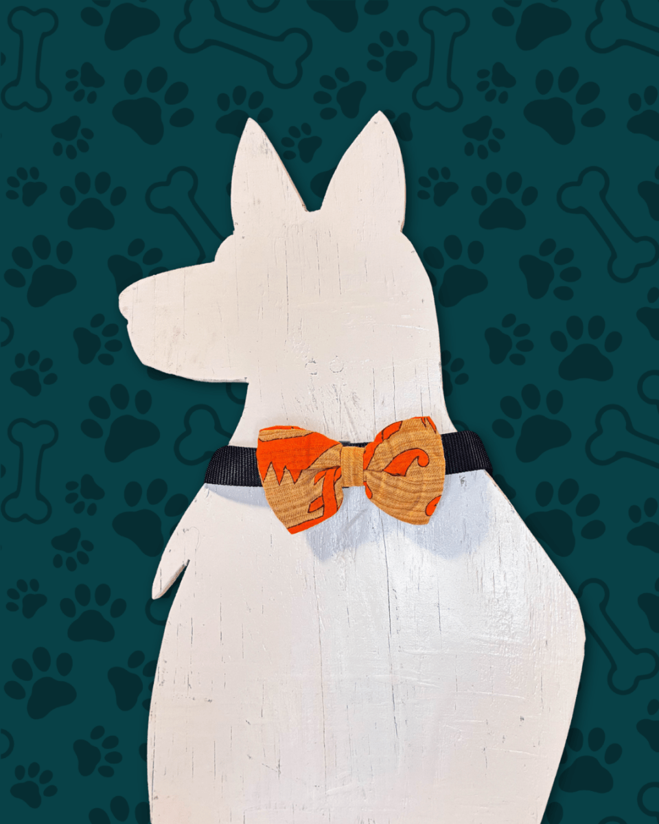 Saree Pet Bowtie | Small - Asha Project Kantha - Saree - Handmade