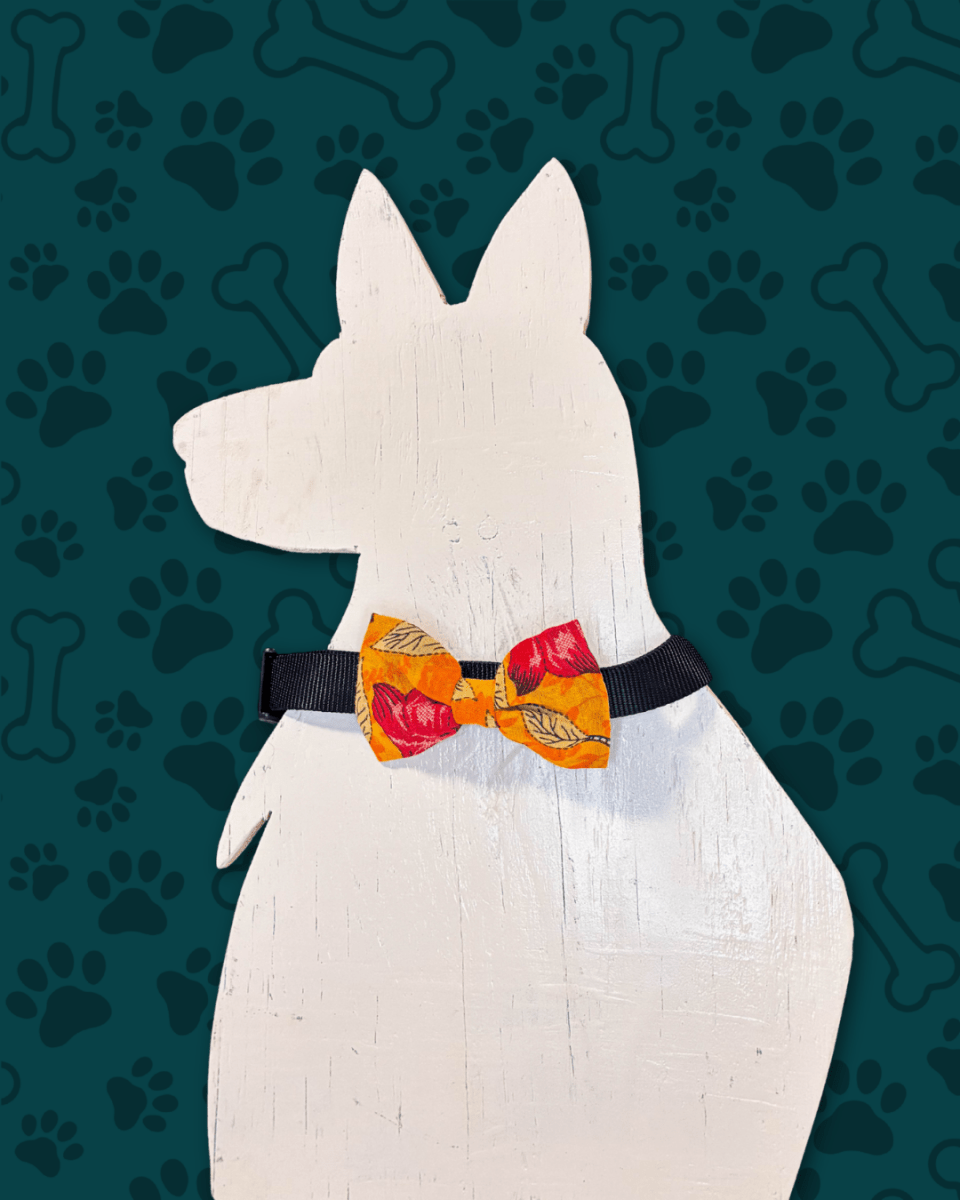 Saree Pet Bowtie | Small - Asha Project Kantha - Saree - Handmade