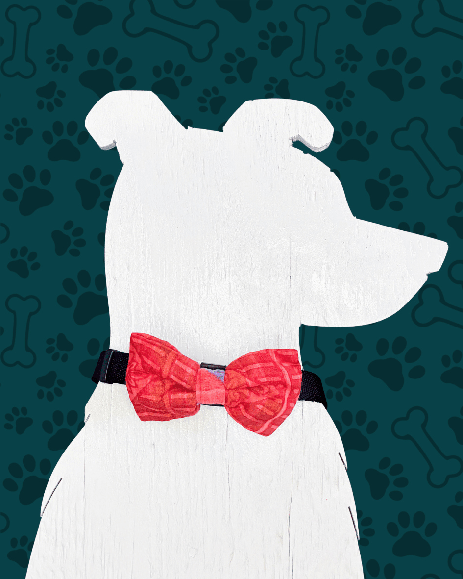 Saree Pet Bowtie | Small - Asha Project Kantha - Saree - Handmade