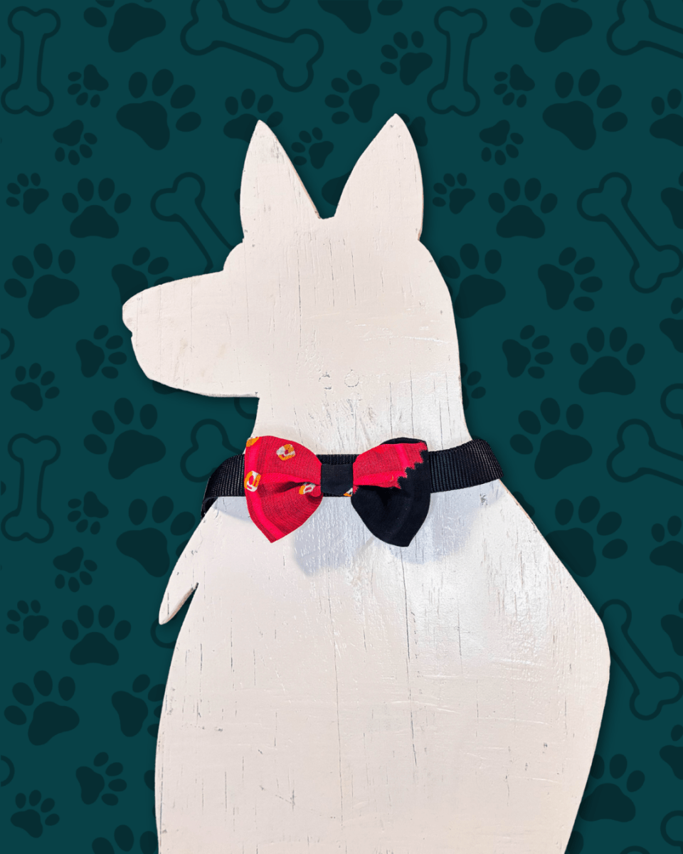 Saree Pet Bowtie | Small - Asha Project Kantha - Saree - Handmade