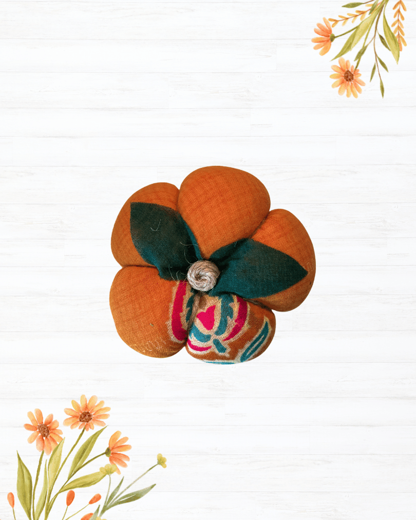 Saree Pumpkin | Small - Asha Project Kantha - Saree - Handmade