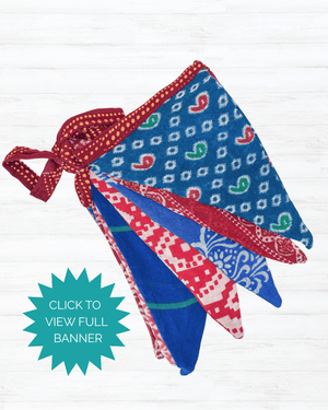 Saree Triangle Banner | Medium | Red and Blue - Asha Project Kantha - Saree - Handmade