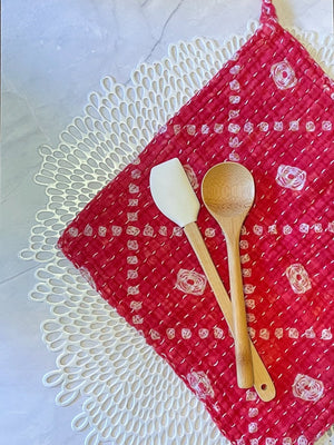 WS Kantha Dish Cloth | Christmas - Asha Project Kantha - Saree - Handmade