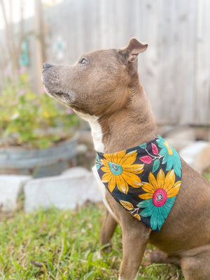 WS Saree Pet Bandana | Medium - Asha Project Kantha - Saree - Handmade