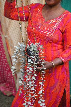 WS Saree Plant Hanger - Asha Project Kantha - Saree - Handmade