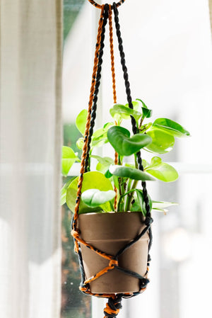 WS Saree Plant Hanger - Asha Project Kantha - Saree - Handmade